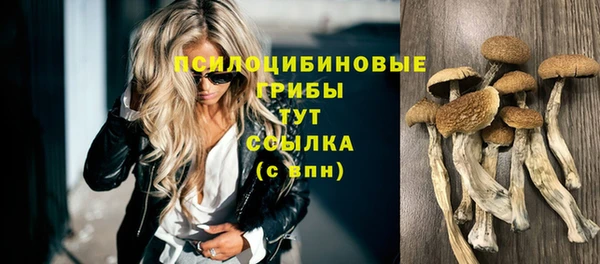 синтетический гашиш Заволжье
