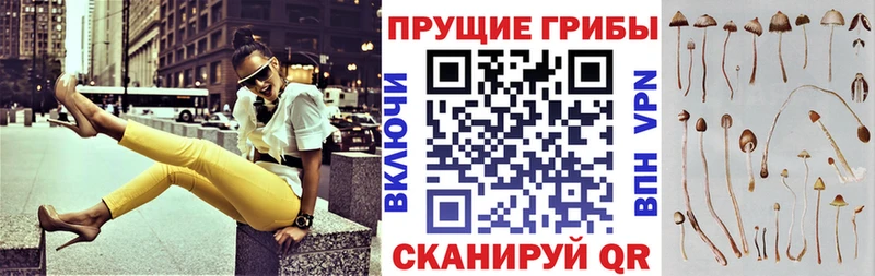 Псилоцибиновые грибы мицелий  закладка  Задонск 